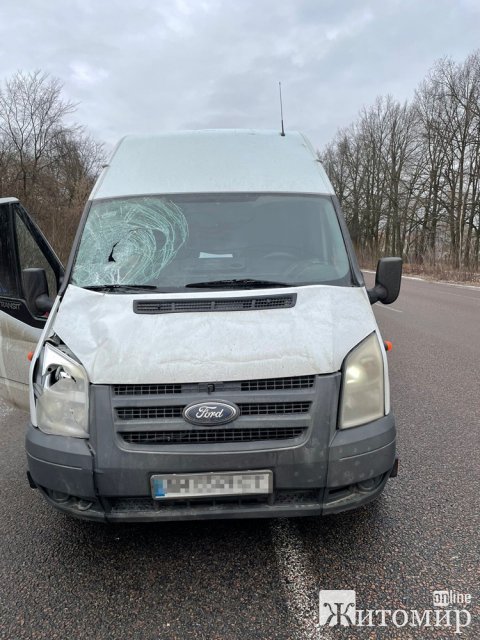 На автодорозі в Житомирському районі Ford на смерть збив чоловіка. ФОТО На автодорозі в Житомирському районі Ford на смерть збив чоловіка. ФОТО