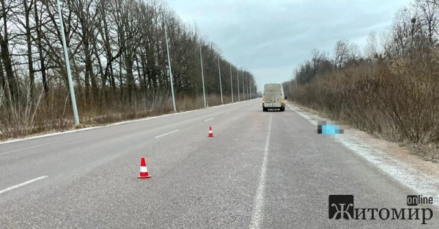 Поліція шукає свідків смертельного ДТП в Житомирському районі, де Ford збив бердичівлянина. ФОТО 