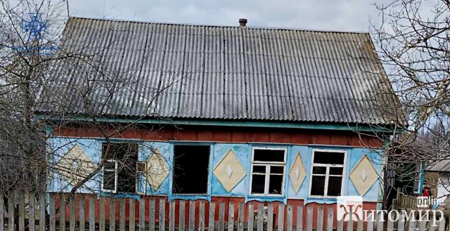 У селі на Житомирщині горів дерев