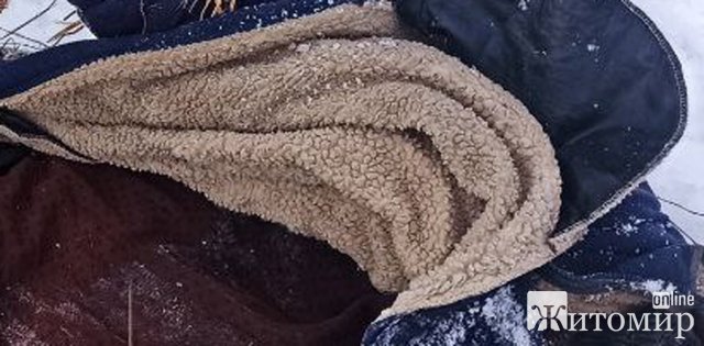 У лісі Житомирської області знайшли тіло чоловіка, поліція встановлює особу померлого У лісі Житомирської області знайшли тіло чоловіка, поліція встановлює особу померлого