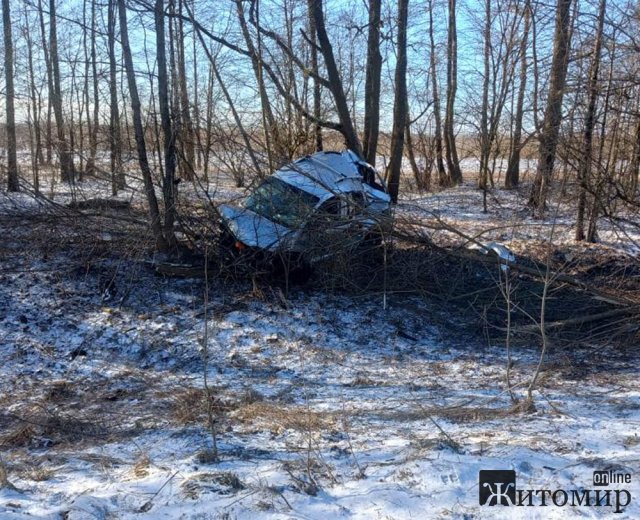 На трасі в Житомирській області Volkswagen з’їхав у кювет та врізався в дерево: водій загинув. ФОТО На трасі в Житомирській області Volkswagen з’їхав у кювет та врізався в дерево: водій загинув. ФОТО