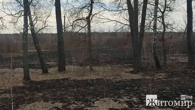 Біля одного з північних сіл Житомирщини рятувальники погасили палаючий сухостій на площі 2 га. ФОТО Біля одного з північних сіл Житомирщини рятувальники погасили палаючий сухостій на площі 2 га. ФОТО