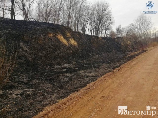 На Овруччині горіла суха трава поруч із кладовищем. ФОТО На Овруччині горіла суха трава поруч із кладовищем. ФОТО