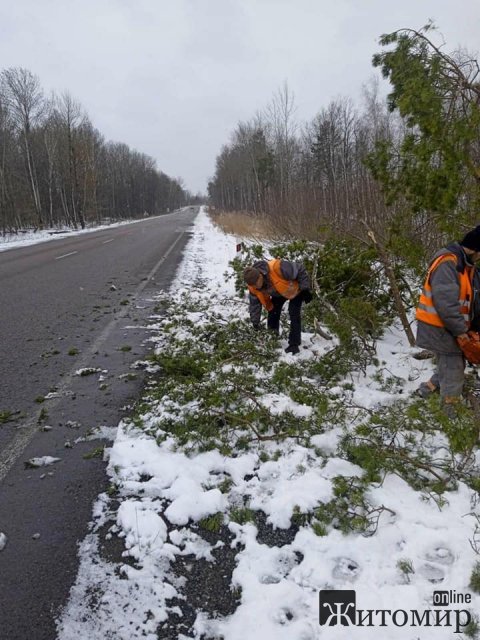 Дороги в Житомирській області очищені від снігу, - САД Дороги в Житомирській області очищені від снігу, - САД