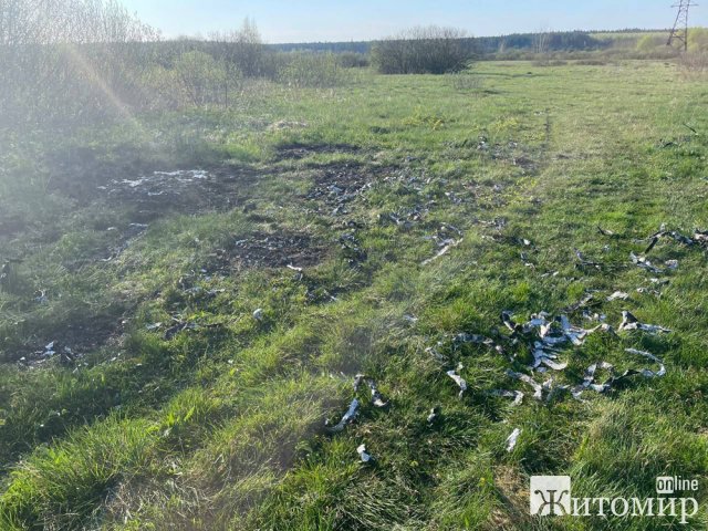 У Коростишеві поліцейські затримали групу серійних викрадачів електрокабелів з Київщини. ФОТО