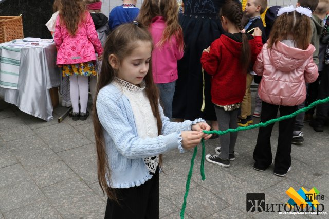 На Михайлівській в Житомирі створюють вишите полотно «Це моє місто». ФОТО