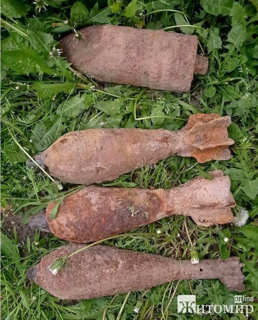 Біля одного з сіл Житомирського району люди натрапили на вибухонебезпечні предмети. ФОТО Біля одного з сіл Житомирського району люди натрапили на вибухонебезпечні предмети. ФОТО