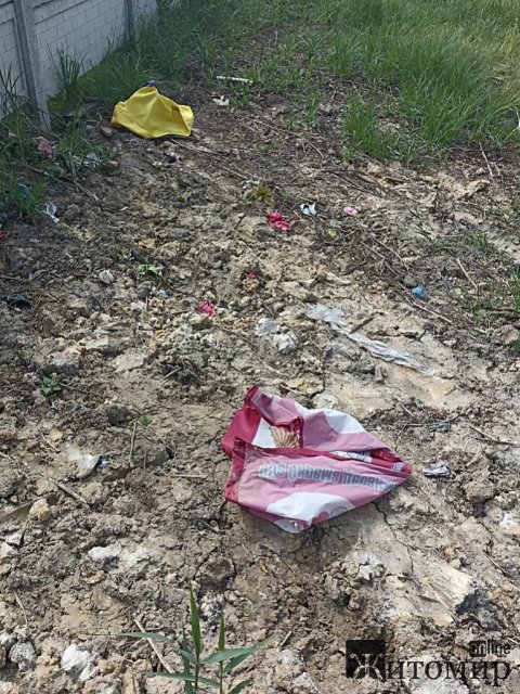 У селі Житомирського району невідомі вкрали з могили військового держаки, а прапор викинули. ФОТО У селі Житомирського району невідомі вкрали з могили військового держаки, а прапор викинули. ФОТО
