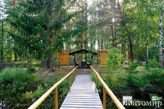 Озеро-кит посеред лісу: незвичайна природна локація на Житомирщині. ФОТО Озеро-кит посеред лісу: незвичайна природна локація на Житомирщині. ФОТО