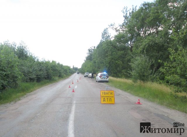 У Житомирській області ЗАЗ з’їхав у кювет і зіткнувся з деревом: загинув житель Вінниччини. ФОТО