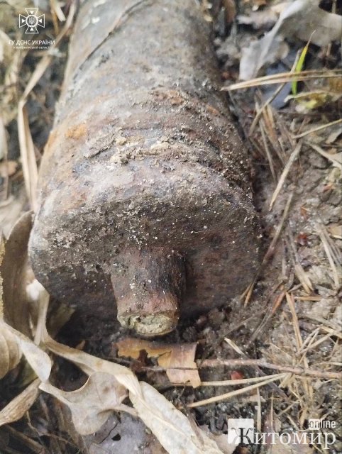  У селі неподалік Житомира місцеві виявили боєприпас. ФОТО