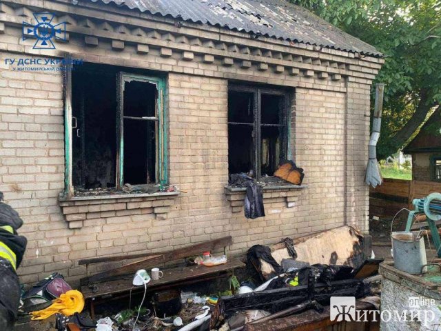 У Пулинах на пожежі загинув 13-річний хлопчик: господарі з іншими дітьми врятувались. ФОТО