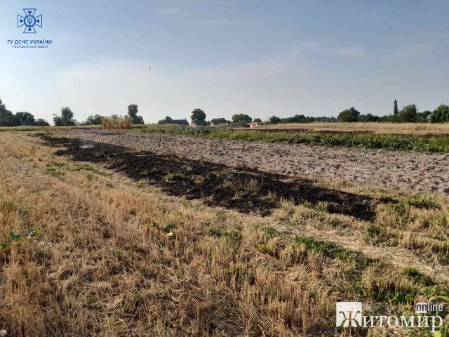 За добу на Житомирщині під час гасіння загорянь сухої трави опіки отримали бабуся та чоловік. ФОТО За добу на Житомирщині під час гасіння загорянь сухої трави опіки отримали бабуся та чоловік. ФОТО