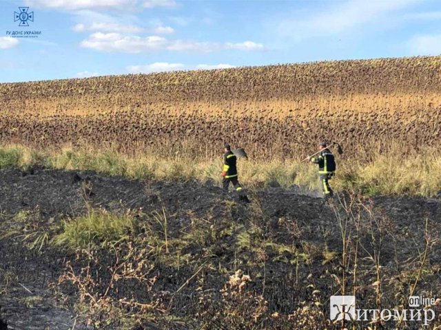 За добу рятувальники Житомирщини понад 20 разів виїжджали гасити займання сухостою За добу рятувальники Житомирщини понад 20 разів виїжджали гасити займання сухостою