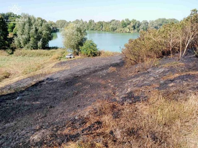 В одному з міст Житомирської області горіла суха трава навколо трансформатора. ФОТО В одному з міст Житомирської області горіла суха трава навколо трансформатора. ФОТО