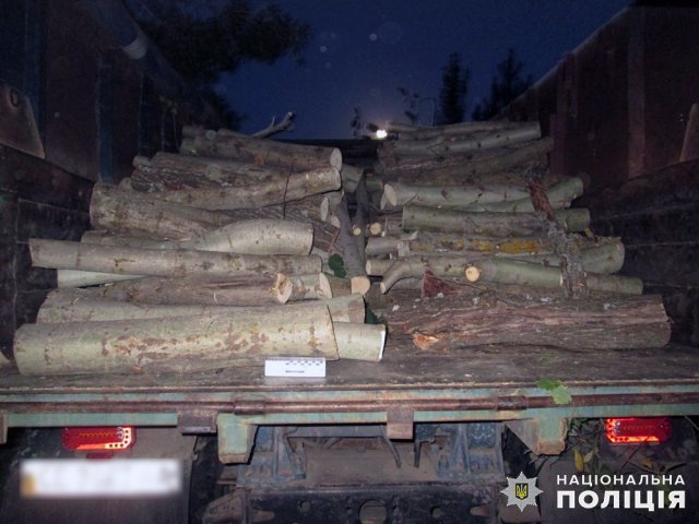 Між населеними пунктами Бердичівської громади затримали четверо чоловіків, які незаконно вирізали деревину. ФОТО Між населеними пунктами Бердичівської громади затримали четверо чоловіків, які незаконно вирізали деревину. ФОТО