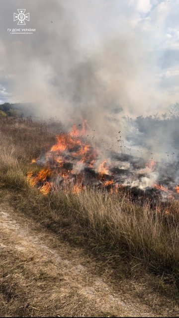 У двох містах та трьох селах Житомирщини горів сухостій. ФОТО