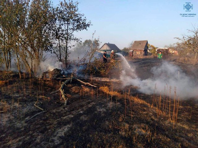 Пожежі в екосистемі на Житомирщині продовжуються: за добу - 16 загорянь. ФОТО