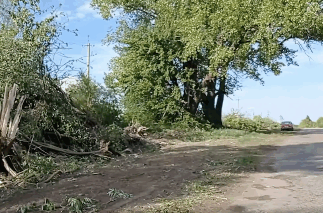 Знімок екрана 2025-05-13 о 21.45.13