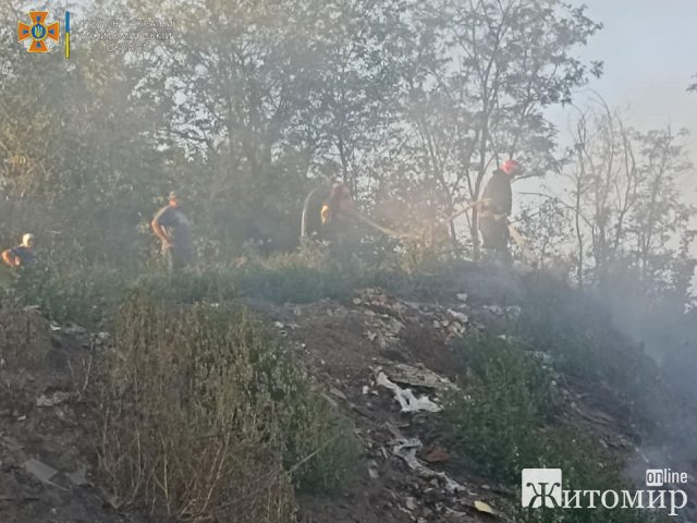 Минулої доби на Житомирщині горів сухостій та будинок, біля якого вдарила блискавка. ФОТО
