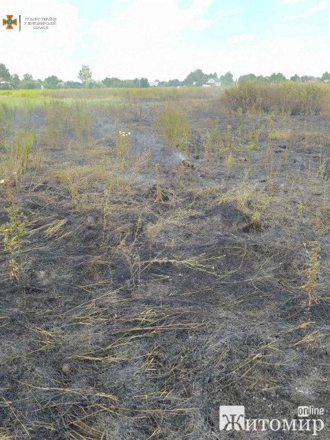 У селі Житомирського району загорівся комбайн. ФОТО У селі Житомирського району загорівся комбайн. ФОТО