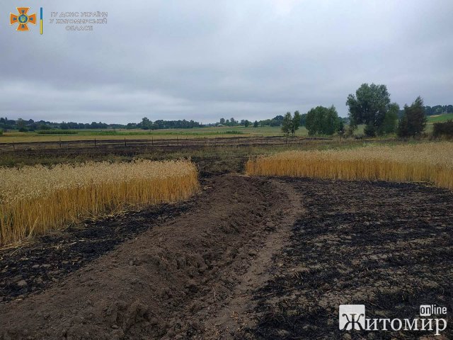 Житель Житомирщини потрапив до лікарні після спроби загасити пожежу, яку сам влаштував. ФОТО Житель Житомирщини потрапив до лікарні після спроби загасити пожежу, яку сам влаштував. ФОТО