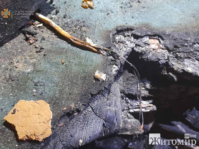 У Радомишлі жінка потрапила до лікарні через отруєння під час пожежі. ФОТО У Радомишлі жінка потрапила до лікарні через отруєння під час пожежі. ФОТО