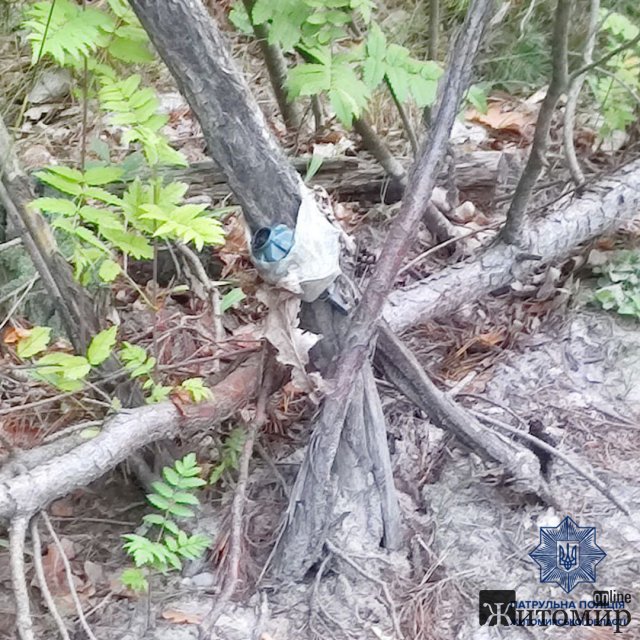 На території Корбутівського лісу в Житомирі виявили небезпечний вибуховий предмет. ФОТО На території Корбутівського лісу в Житомирі виявили небезпечний вибуховий предмет. ФОТО
