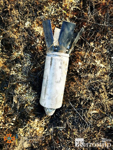 На подвір’ї у селі Малинської громади виявили осколковий боєприпас, а грибники в лісі знайшли елемент «Урагану». ФОТО На подвір’ї у селі Малинської громади виявили осколковий боєприпас, а грибники в лісі знайшли елемент «Урагану». ФОТО