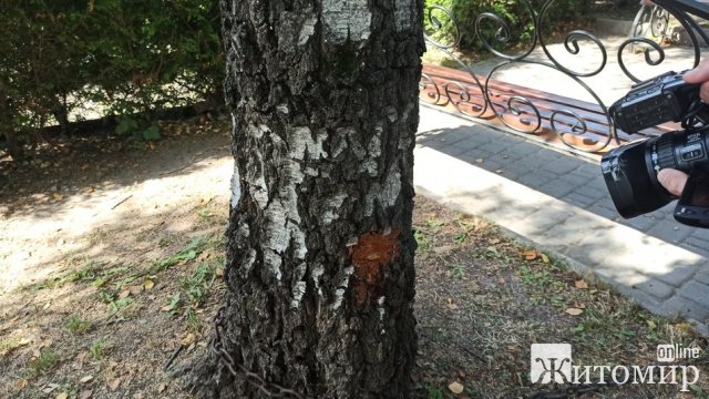 У житомирському парку вандали пошкодили п У житомирському парку вандали пошкодили п
