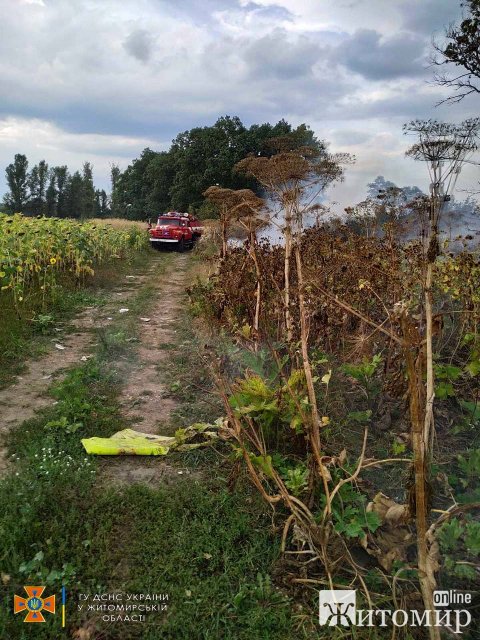Минулої доби рятувальники ліквідовували пожежі в Житомирському та Коростенському районах. ФОТО Минулої доби рятувальники ліквідовували пожежі в Житомирському та Коростенському районах. ФОТО