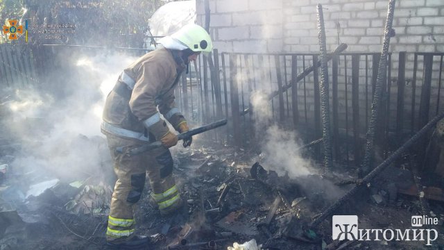 На дачному масиві біля Житомира чоловік розпалив мангал, а спалив теплицю. ФОТО