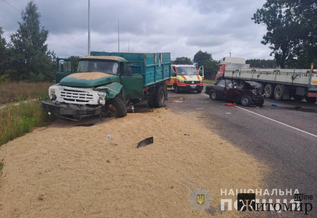 У поліції шукають свідків ДТП, що трапилась наприкінці серпня біля Житомира. ФОТО У поліції шукають свідків ДТП, що трапилась наприкінці серпня біля Житомира. ФОТО