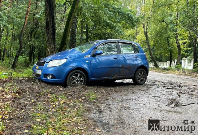 На Вільському Шляху в Житомирі Chevrolet врізалось у дерево, травмовані дві дитини. ФОТО На Вільському Шляху в Житомирі Chevrolet врізалось у дерево, травмовані дві дитини. ФОТО
