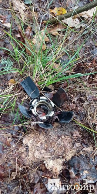 У Житомирській області рятувальники утилізували цілу стежку залишків протипіхотних мін. ФОТО У Житомирській області рятувальники утилізували цілу стежку залишків протипіхотних мін. ФОТО