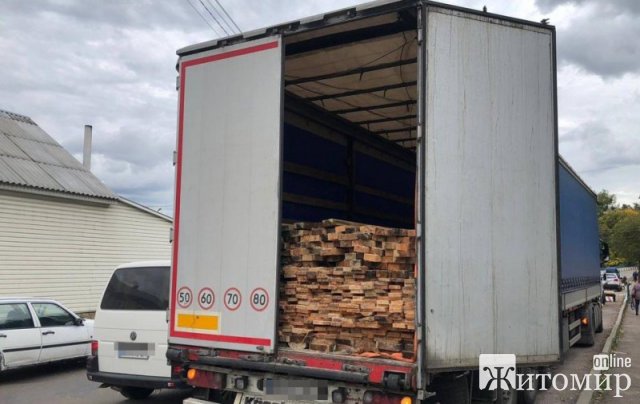У Житомирській області поліцейські зупинили MAN: водій перевозив деревину без супровідних документів. ФОТО