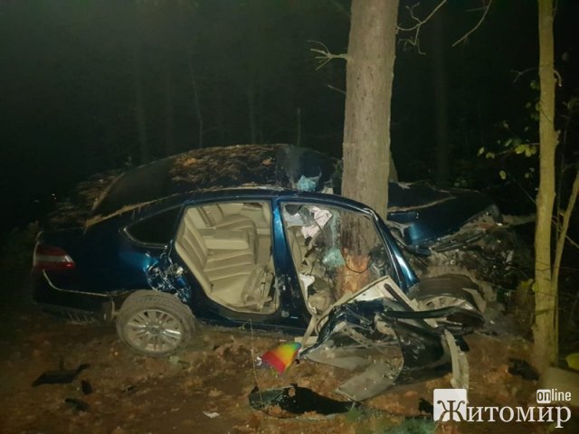 У Коростені Nissan в’їхав у дерево: водій загинув, двох пасажирів госпіталізували. ФОТО