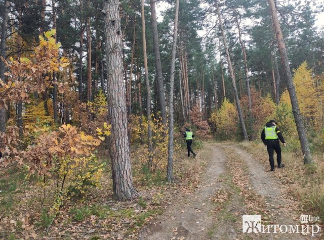 Пошукові групи знайшли пенсіонерку, яка в Житомирській області пішла по гриби й добу провела в лісі. ФОТО Пошукові групи знайшли пенсіонерку, яка в Житомирській області пішла по гриби й добу провела в лісі. ФОТО