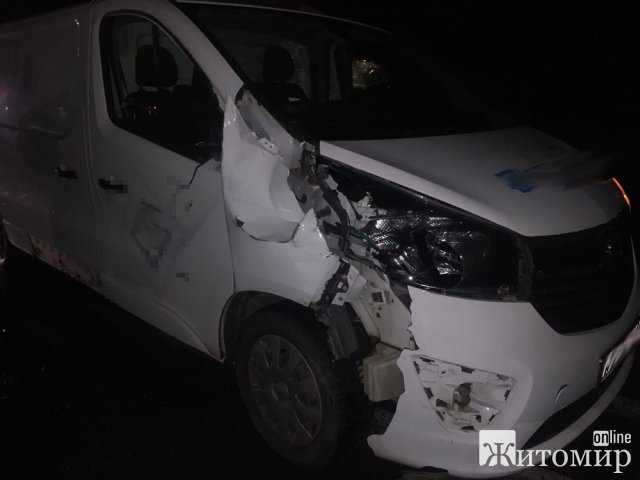 На Житомирщині шукають свідків ДТП, в якій загинула 36-річна жінка-пішохід На Житомирщині шукають свідків ДТП, в якій загинула 36-річна жінка-пішохід