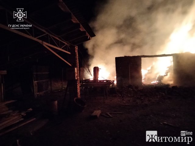 На Житомирщині у пожежах загинуло подружжя та 33-річний чоловік. ФОТО