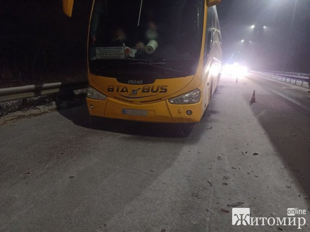 На трасі в Житомирській області зіштовхнулись автобус та бус. ФОТО