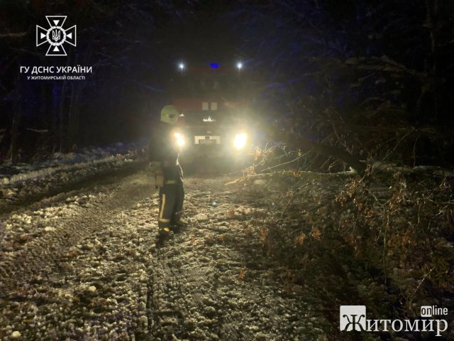 За добу рятувальники Житомирщини прибирали з доріг повалені дерева. ФОТО За добу рятувальники Житомирщини прибирали з доріг повалені дерева. ФОТО