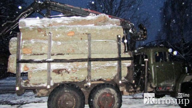 У Ємільчинській громаді затримали водія вантажівки, який перевозив дубові колоди без належних документів. ФОТО У Ємільчинській громаді затримали водія вантажівки, який перевозив дубові колоди без належних документів. ФОТО