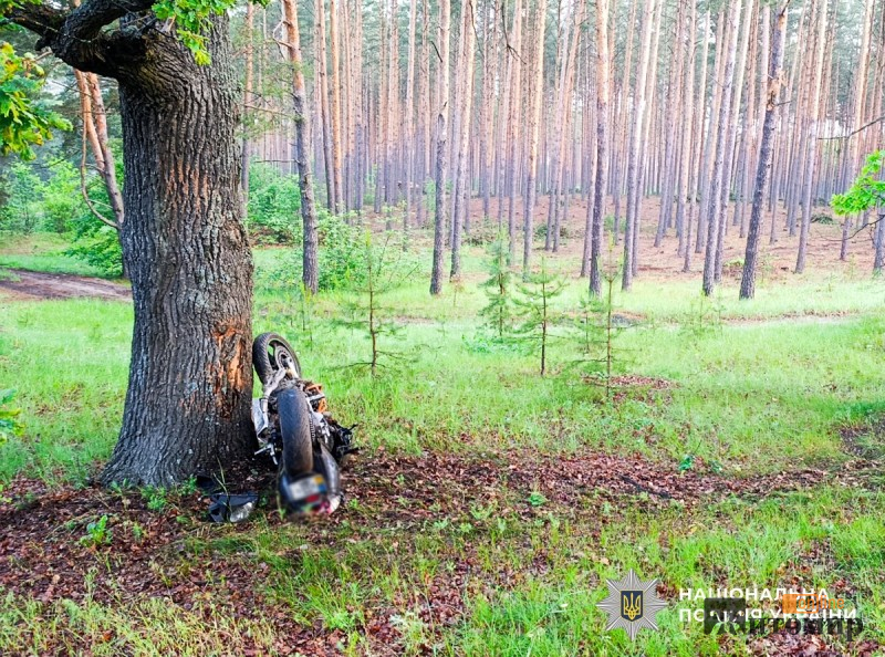 img_a62265ae84b87d7a050b17dbd3c041a1