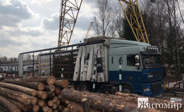 Жителю Коростенського району війна не заважала "красти" ліс: ділка затримали правоохоронці. ФОТО Жителю Коростенського району війна не заважала "красти" ліс: ділка затримали правоохоронці. ФОТО