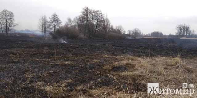 У райцентрі Житомирської області горіла суха трава, місто "заполонив" смог. ФОТО У райцентрі Житомирської області горіла суха трава, місто "заполонив" смог. ФОТО