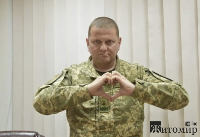Генерал Залужний: уродженець Житомирщини успішно керує українською армією. Що про нього відомо Генерал Залужний: уродженець Житомирщини успішно керує українською армією. Що про нього відомо