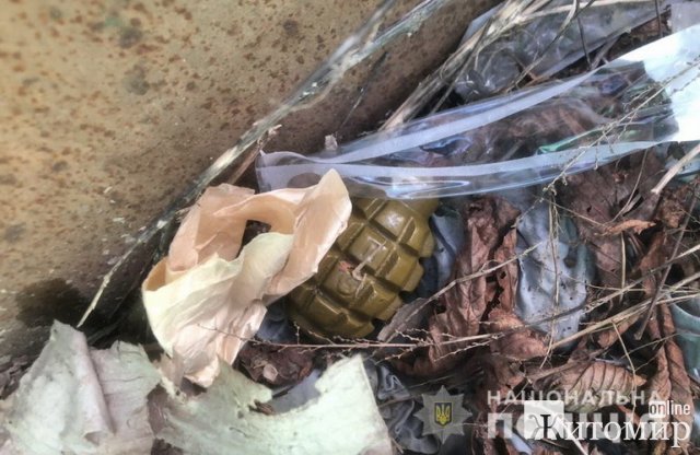 У Радомишльському районі травмувалась однорічна дівчинка, граючись із запалом ручної гранати. ФОТО
