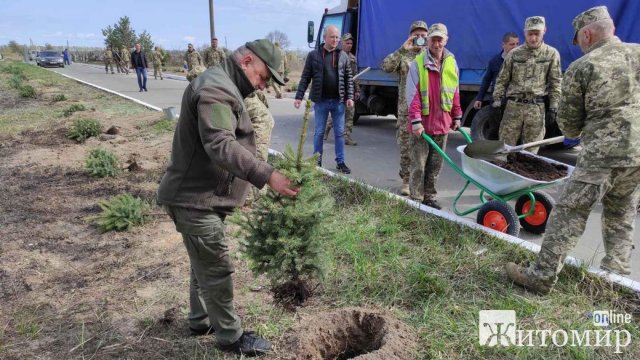 У місті Житомирської області висадили 59 дерев у пам У місті Житомирської області висадили 59 дерев у пам