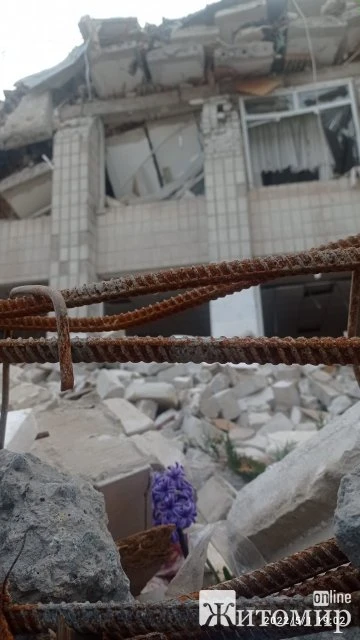 На руїнах житомирського ліцею виросла квітка. ФОТО